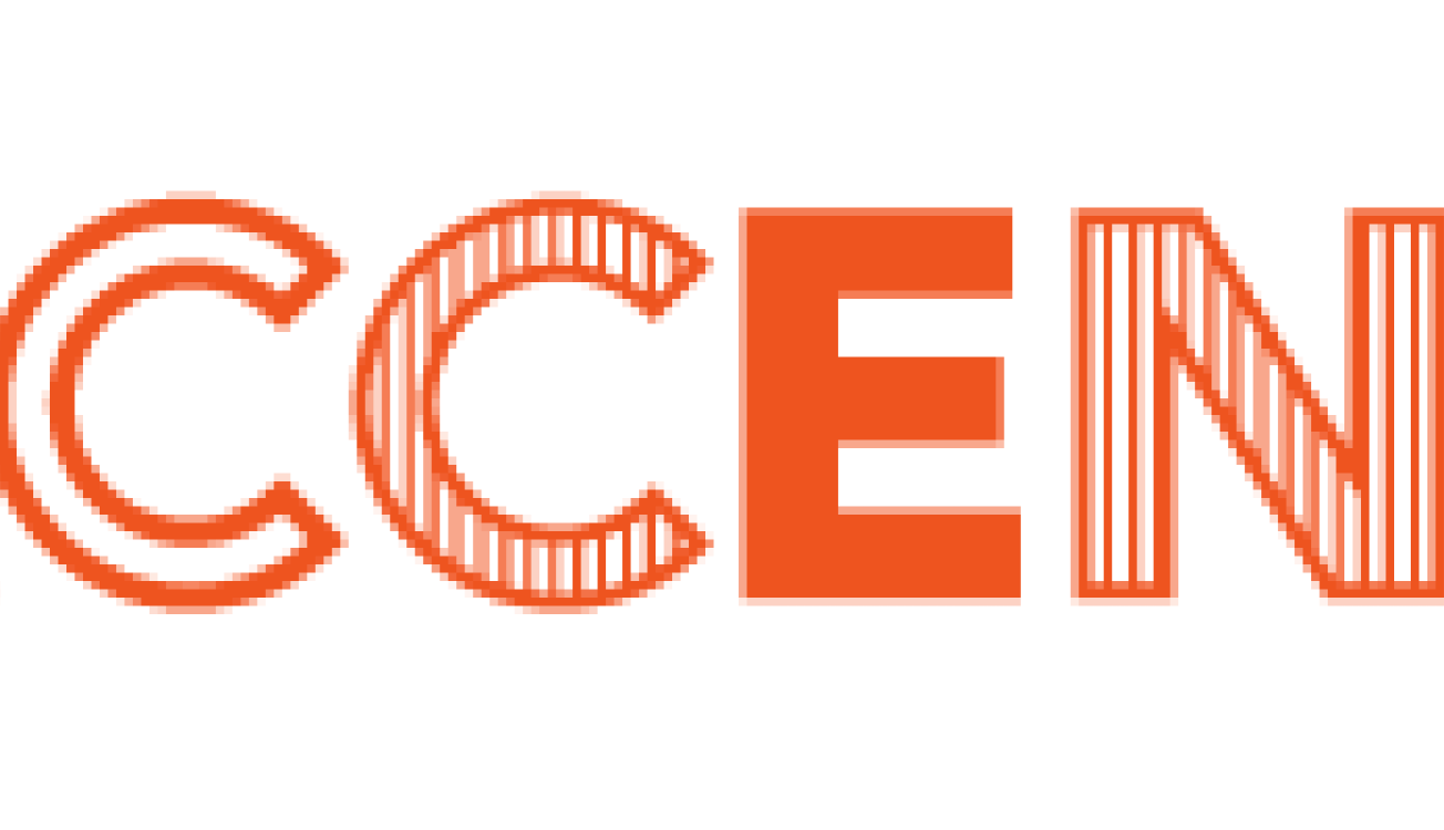 Logo Accent